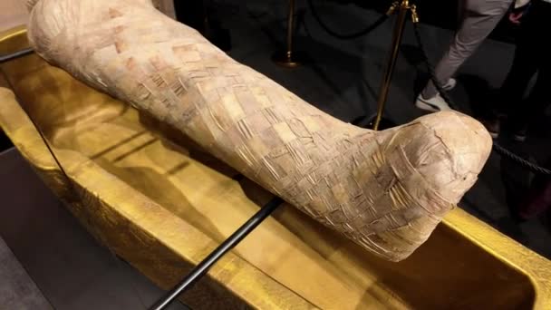Spektakularny Świat Tutankhamun Wciągająca Wystawa Doświadczenie Stuttgart — Wideo stockowe