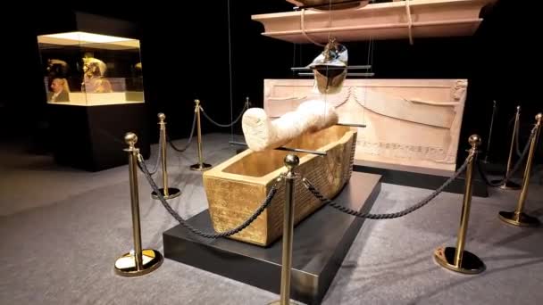 Впечатляющий Мир Тутанхамона — стоковое видео