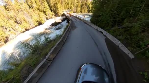 Mushbowl Clearwater Wells Gray Provincial Park Clearwater Valley Road Yellowhead — Stock video
