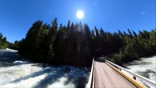 Mushbowl Clearwater Wells Gray Provincial Park Clearwater Valley Road Yellowhead — Stock Video