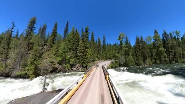 Mushbowl Clearwater Wells Gray Provincial Park Clearwater Valley Road Desde — Vídeo de stock