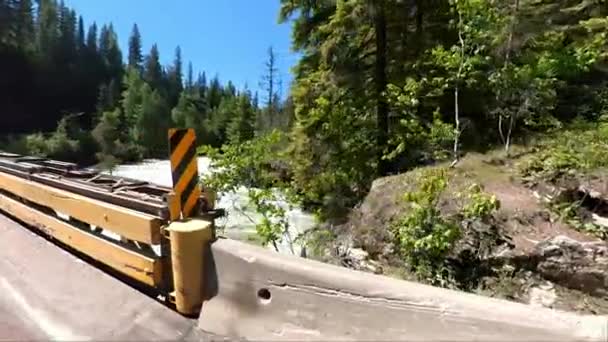 Mushbowl Clearwater Parc Provincial Wells Gray Chemin Clearwater Valley Yellowhead — Video