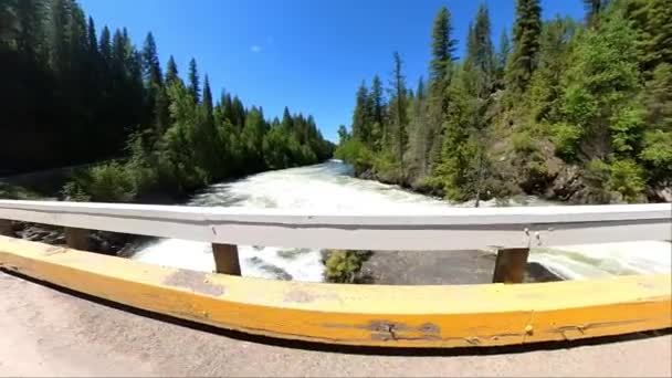 Mushbowl Clearwater Parc Provincial Wells Gray Chemin Clearwater Valley Yellowhead — Video