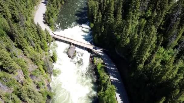 Mushbowl Clearwater Wells Gray Provincial Park Clearwater Valley Road Desde — Vídeo de stock
