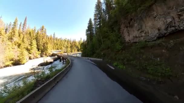 Mushbowl Clearwater Wells Gray Provincial Park Clearwater Valley Road Van — Stockvideo