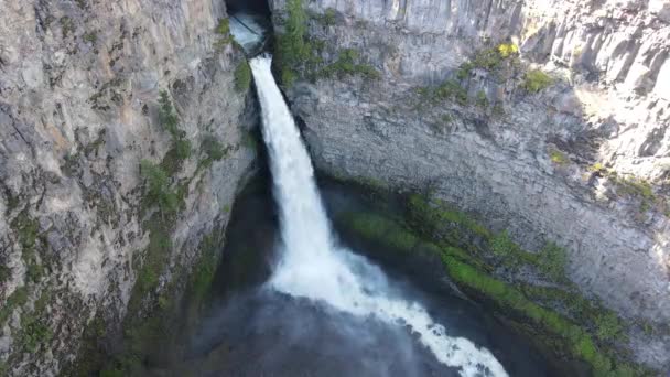 Spahats Creek Falls Una Cascada Spahats Creek Clearwater Valley Road — Vídeos de Stock