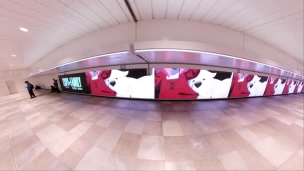Led Shinjuku Wall 456 Passage Shinjuku Station Large Audiovisual Led — Stock Video