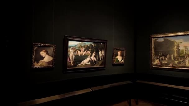 Μουσείο Kunsthistorisches Φωτισμένο Μουσείο Ιστορίας Της Τέχνης Που Συχνά Αναφέρεται — Αρχείο Βίντεο