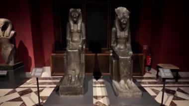 Avusturya Viyana Sanat Tarihi Müzesi Avusturya 'nın en büyük sanat müzesi ve dünya çapındaki en önemli müzelerden biridir. Kunsthistorisches Müzesi (genellikle 