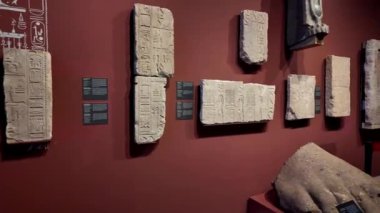 Avusturya Viyana Sanat Tarihi Müzesi Avusturya 'nın en büyük sanat müzesi ve dünya çapındaki en önemli müzelerden biridir. Kunsthistorisches Müzesi (genellikle 