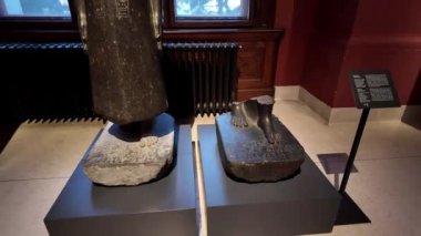 Avusturya Viyana Sanat Tarihi Müzesi Avusturya 'nın en büyük sanat müzesi ve dünya çapındaki en önemli müzelerden biridir. Kunsthistorisches Müzesi (genellikle 