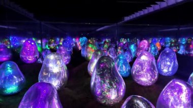 Takım Laboratuvarı Gezegeni TOKYO, suda yürüdüğünüz bir müze ve çiçeklerle bir olduğunuz bir bahçe. 4 büyük ölçekli sanat alanı ve sanat kolektif takım laboratuarı tarafından oluşturulan ve dijital sanat ve doğanın güzelliğini birleştiren 2 bahçeden oluşur.