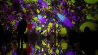 Ekip Gezegeni TOKYO dijital sanat ve doğanın güzelliğini birleştiren bir müze. Suyun içinde yürüdüğünüz bir müze ve çiçeklerle bir araya geldiğiniz bir bahçe. Sanat topluluğu tarafından oluşturulan 4 büyük ölçekli sanat eserleri alanı.