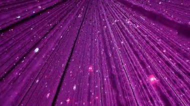 Ekip Gezegeni TOKYO dijital sanat ve doğanın güzelliğini birleştiren bir müze. Suyun içinde yürüdüğünüz bir müze ve çiçeklerle bir araya geldiğiniz bir bahçe. Sanat topluluğu tarafından oluşturulan 4 büyük ölçekli sanat eserleri alanı.