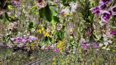 Ekip Gezegeni TOKYO dijital sanat ve doğanın güzelliğini birleştiren bir müze. Suyun içinde yürüdüğünüz bir müze ve çiçeklerle bir araya geldiğiniz bir bahçe. Sanat topluluğu tarafından oluşturulan 4 büyük ölçekli sanat eserleri alanı.