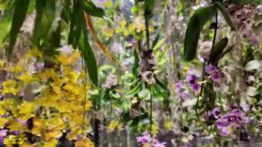 Ekip Gezegeni TOKYO dijital sanat ve doğanın güzelliğini birleştiren bir müze. Suyun içinde yürüdüğünüz bir müze ve çiçeklerle bir araya geldiğiniz bir bahçe. Sanat topluluğu tarafından oluşturulan 4 büyük ölçekli sanat eserleri alanı.