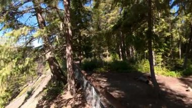 Helmcken Falls, Clearwater British Columbia Canada 'daki Wells Gray İl Parkı' ndaki Murtle Nehri üzerindeki bir şelaledir. Kanada 'nın en yüksek dördüncü şelalesidir.