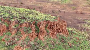 Stuart Highway Lubras Tennant Creek ve Mataranka Kuzey Avustralya arasında gözcülük yapıyor. Bilinen Aborjin Tarihi Şehir simgesi bir kadının buluşma yeri olma hikayesini tasvir ediyor. Yerli kadınlar, erkekleri sığırları mızraklarken orayı gözetlerdi..