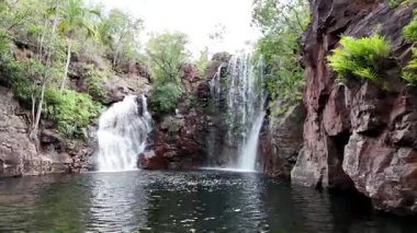 Florence Falls (Aborjin Karrimurra), Litchfield Ulusal Parkı 'nda bulunan bir şelaledir. Darwin 'in 80 kilometre güneyinde. Florence Falls yüzme havuzu.