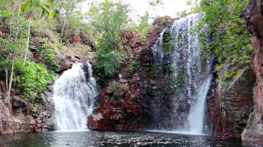 Florence Falls (Aborjin Karrimurra), Litchfield Ulusal Parkı 'nda bulunan bir şelaledir. Darwin 'in 80 kilometre güneyinde. Florence Falls yüzme havuzu.