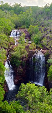 Florence Falls (Aborjin Karrimurra), Litchfield Ulusal Parkı 'nda bulunan bir şelaledir. Darwin 'in 80 kilometre güneyinde. Florence Falls yüzme havuzu.