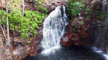 Florence Falls (Aborjin Karrimurra), Litchfield Ulusal Parkı 'nda bulunan bir şelaledir. Darwin 'in 80 kilometre güneyinde. Florence Falls yüzme havuzu.