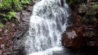 Florence Falls (Aborjin Karrimurra), Litchfield Ulusal Parkı 'nda bulunan bir şelaledir. Darwin 'in 80 kilometre güneyinde. Florence Falls yüzme havuzu.