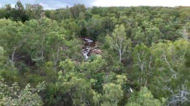 Buley Rockhole, Litchfield Ulusal Parkı 'nın kuzey Avustralya bölgesindeki küçük ve hızlı akarsular arasında yer almaktadır. Su, küçük derin dalma havuzlarından sığ kaya havuzlarına kadar değişir.. 