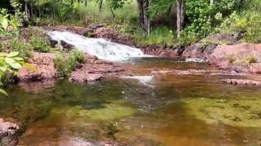 Buley Rockhole, Litchfield Ulusal Parkı 'nın kuzey Avustralya bölgesindeki küçük ve hızlı akarsular arasında yer almaktadır. Su, küçük derin dalma havuzlarından sığ kaya havuzlarına kadar değişir.. 