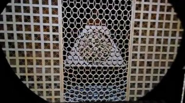 Santa Fe 'ye Ebedi Dönüş Miyav Kurt Evi New Mexico, bilinmeyen ve derin keşiflere açılan kapıları olan renkli etkileşimli ve aydınlatıcı sanat tesisleridir.