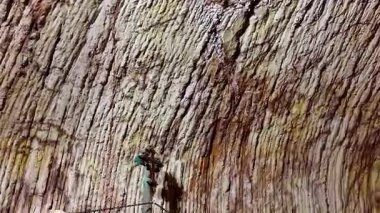 Güney Avustralya 'nın Coober Pedy kentindeki Aziz Elijah Ortodoks yeraltı kilisesi - Opal madencilik şehrinde kumtaşından çıkarılan dini bir yer