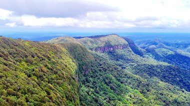 Springbrook Ulusal Parkı, Queensland, Avustralya 'dan, Yağmur Ormanları' nın En İyisi 'nin hava görüntüsü. Göz kamaştırıcı manzaralar, güzel ağaçlar yağmur ormanlarında kısa bir yürüyüş.