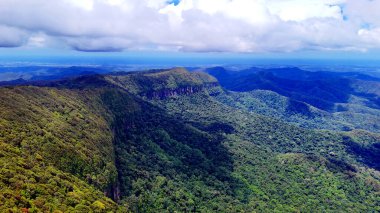 Springbrook Ulusal Parkı, Queensland, Avustralya 'dan, Yağmur Ormanları' nın En İyisi 'nin hava görüntüsü. Göz kamaştırıcı manzaralar, güzel ağaçlar yağmur ormanlarında kısa bir yürüyüş.