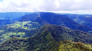 Springbrook Ulusal Parkı, Queensland, Avustralya 'dan, Yağmur Ormanları' nın En İyisi 'nin hava görüntüsü. Göz kamaştırıcı manzaralar, güzel ağaçlar yağmur ormanlarında kısa bir yürüyüş.