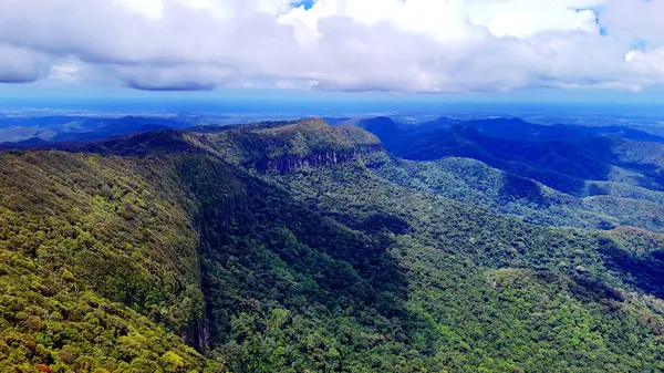 Springbrook Ulusal Parkı, Queensland, Avustralya 'dan, Yağmur Ormanları' nın En İyisi 'nin hava görüntüsü. Göz kamaştırıcı manzaralar, güzel ağaçlar yağmur ormanlarında kısa bir yürüyüş.