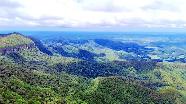 Springbrook Ulusal Parkı, Queensland, Avustralya 'dan, Yağmur Ormanları' nın En İyisi 'nin hava görüntüsü. Göz kamaştırıcı manzaralar, güzel ağaçlar yağmur ormanlarında kısa bir yürüyüş.