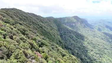 Springbrook Ulusal Parkı, Queensland, Avustralya 'dan, Yağmur Ormanları' nın En İyisi 'nin hava görüntüsü. Göz kamaştırıcı manzaralar, güzel ağaçlar yağmur ormanlarında kısa bir yürüyüş.