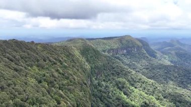 Springbrook Ulusal Parkı, Queensland, Avustralya 'dan, Yağmur Ormanları' nın En İyisi 'nin hava görüntüsü. Göz kamaştırıcı manzaralar, güzel ağaçlar yağmur ormanlarında kısa bir yürüyüş.