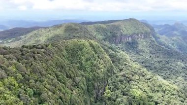 Springbrook Ulusal Parkı, Queensland, Avustralya 'dan, Yağmur Ormanları' nın En İyisi 'nin hava görüntüsü. Göz kamaştırıcı manzaralar, güzel ağaçlar yağmur ormanlarında kısa bir yürüyüş.