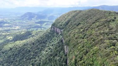Springbrook Ulusal Parkı, Queensland, Avustralya 'dan, Yağmur Ormanları' nın En İyisi 'nin hava görüntüsü. Göz kamaştırıcı manzaralar, güzel ağaçlar yağmur ormanlarında kısa bir yürüyüş.