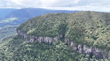 Springbrook Ulusal Parkı, Queensland, Avustralya 'dan, Yağmur Ormanları' nın En İyisi 'nin hava görüntüsü. Göz kamaştırıcı manzaralar, güzel ağaçlar yağmur ormanlarında kısa bir yürüyüş.