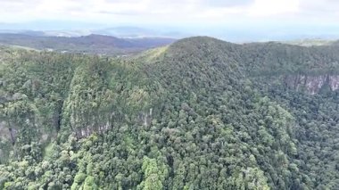 Springbrook Ulusal Parkı, Queensland, Avustralya 'dan, Yağmur Ormanları' nın En İyisi 'nin hava görüntüsü. Göz kamaştırıcı manzaralar, güzel ağaçlar yağmur ormanlarında kısa bir yürüyüş.