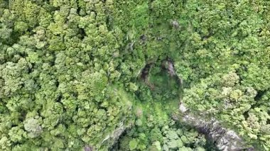 Springbrook Ulusal Parkı, Queensland, Avustralya 'dan, Yağmur Ormanları' nın En İyisi 'nin hava görüntüsü. Göz kamaştırıcı manzaralar, güzel ağaçlar yağmur ormanlarında kısa bir yürüyüş.