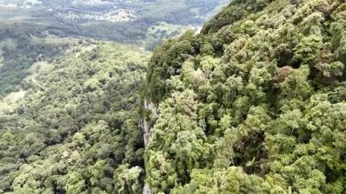 Springbrook Ulusal Parkı, Queensland, Avustralya 'dan, Yağmur Ormanları' nın En İyisi 'nin hava görüntüsü. Göz kamaştırıcı manzaralar, güzel ağaçlar yağmur ormanlarında kısa bir yürüyüş.
