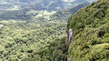 Springbrook Ulusal Parkı, Queensland, Avustralya 'dan, Yağmur Ormanları' nın En İyisi 'nin hava görüntüsü. Göz kamaştırıcı manzaralar, güzel ağaçlar yağmur ormanlarında kısa bir yürüyüş.