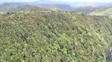 Springbrook Ulusal Parkı, Queensland, Avustralya 'dan, Yağmur Ormanları' nın En İyisi 'nin hava görüntüsü. Göz kamaştırıcı manzaralar, güzel ağaçlar yağmur ormanlarında kısa bir yürüyüş.