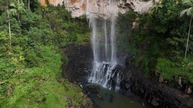 Purling Brook Falls, Springbrook Ulusal Parkı, Queensland, Avustralya, aşağı doğru çağlayan bir şelale, gelişen yeşil ormanlar ve engebeli, doğal kayalık arazi içine yerleşmiş. Yumuşak sis ve canlı çevre doğanın dinginliğini vurgular.