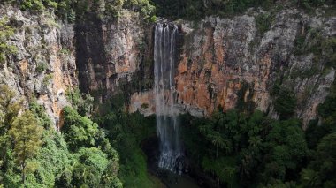 Purling Brook Falls, Springbrook Ulusal Parkı, Queensland, Avustralya, aşağı doğru çağlayan bir şelale, gelişen yeşil ormanlar ve engebeli, doğal kayalık arazi içine yerleşmiş. Yumuşak sis ve canlı çevre doğanın dinginliğini vurgular.