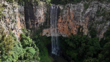 Purling Brook Falls, Springbrook Ulusal Parkı, Queensland, Avustralya, aşağı doğru çağlayan bir şelale, gelişen yeşil ormanlar ve engebeli, doğal kayalık arazi içine yerleşmiş. Yumuşak sis ve canlı çevre doğanın dinginliğini vurgular.