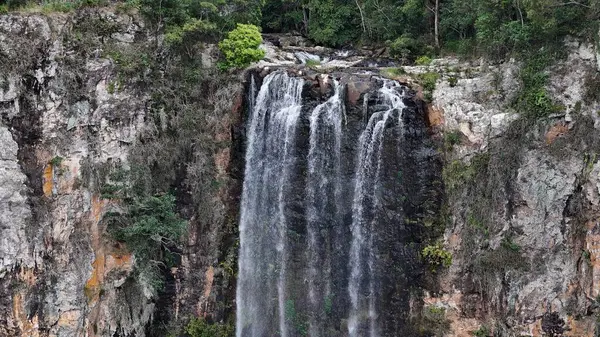 Purling Brook Falls, Springbrook Ulusal Parkı, Queensland, Avustralya, aşağı doğru çağlayan bir şelale, gelişen yeşil ormanlar ve engebeli, doğal kayalık arazi içine yerleşmiş. Yumuşak sis ve canlı çevre doğanın dinginliğini vurgular.